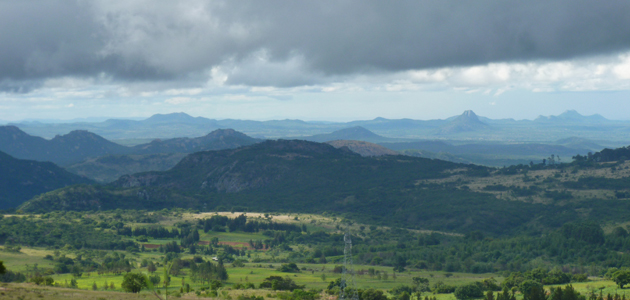 Returning to Zimbabwe