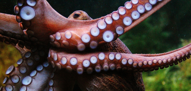 ‘A Clerk’s Progress’