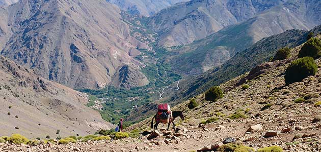 In the Atlas mountains