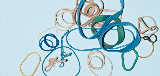 ‘Should I cultivate my elasticity or my plasticity?’