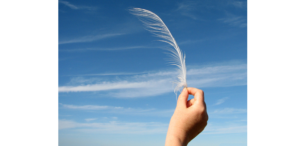 Thought for the Week: The tale of a white feather