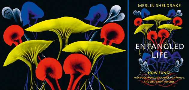 Entangled Life by Melvin Sheldrake