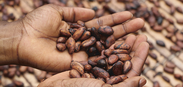 ‘The truth exists. It is alive and living within you.’