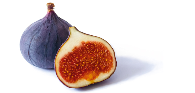 Seven Small Experiments with Language and Faith