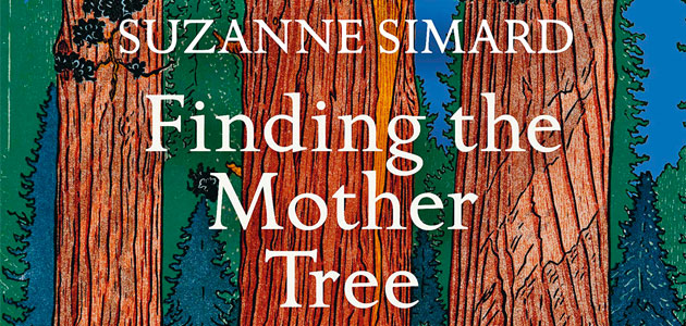 Finding the Mother Tree: Uncovering the wisdom and intelligence of the forest, by Suzanne Simard