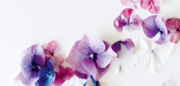 Unique selling point