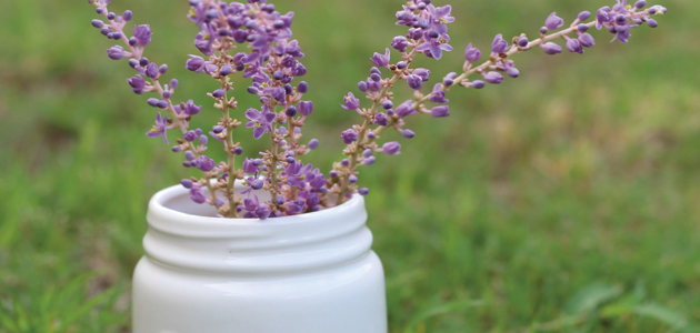 Help create a storm: Gill Sewell & Olivia Sewell Risley from the Friends Quarterly