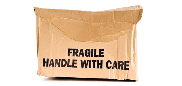 French connection: Anne M Jones takes her sewing kit back to Calais