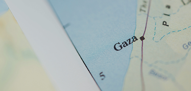 Casualties of war: Rachel Taylor counts the cost