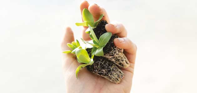 Yearly Meeting 2022: Session 6 - Required Business, As led