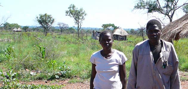 Lessons from Zimbabwe