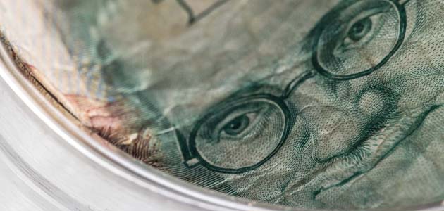 ‘Quakers are at an advantage when it comes to appreciating this notoriously willful writer.’