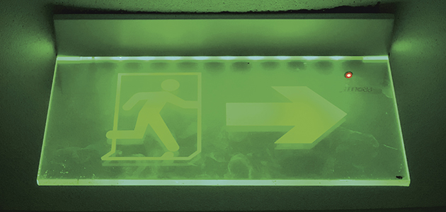 ‘Many of us, even committed “greens”, are not doing as much as we would like.’