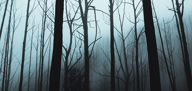 ‘So how, one might wonder, can one hallow, or make holy one’s diminishments?’