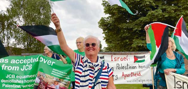 Red rag to a bulldozer: Sharen Green protests against JCB