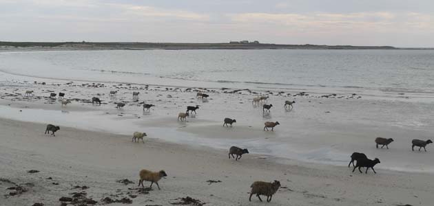 Quaker Meeting for Worship on North Ronaldsay