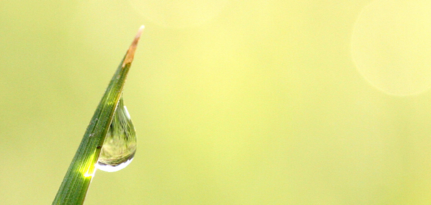 Heart, head and hands