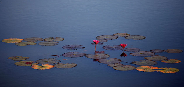 Different levels of worship