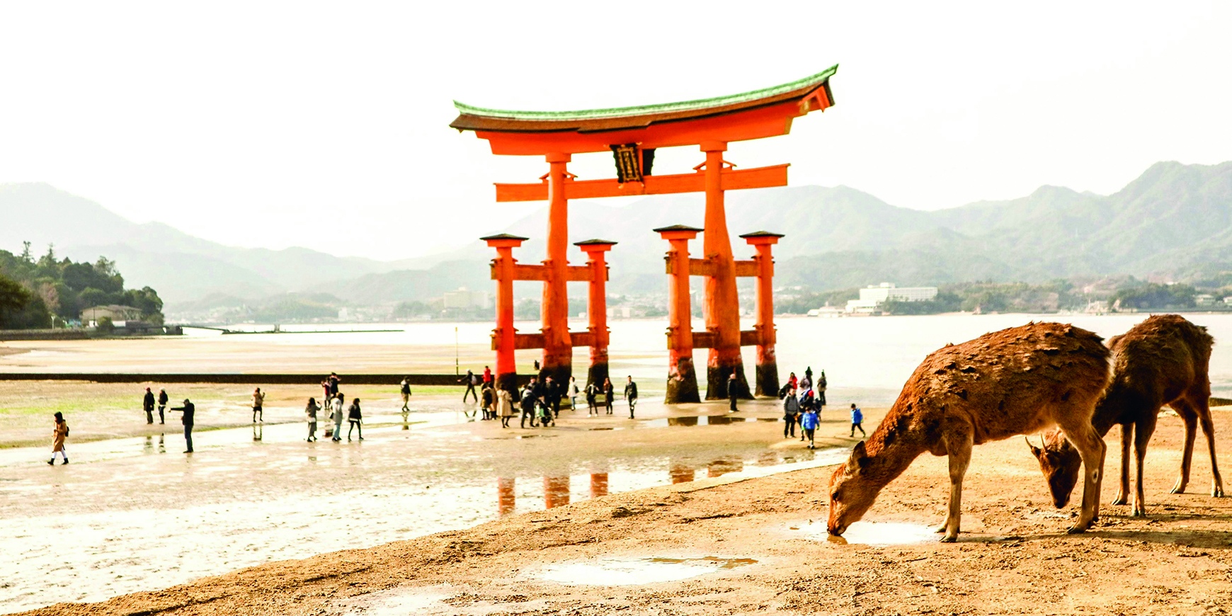 City limits: Tony D’Souza visits Hiroshima