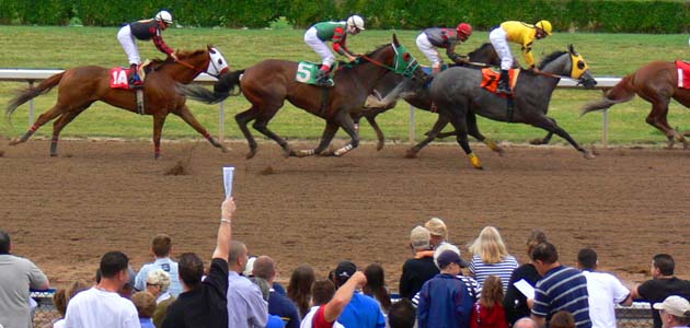 The spoils of addiction