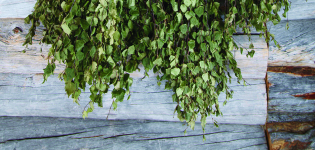 Baring all for peace