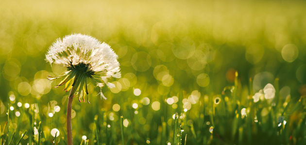 Laws of nature: Jo Flanagan says Quakers should support a change