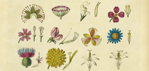 ‘Learning happens when we wander across borders, refusing to be contained within them.’