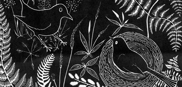 ‘One rainy day, in a forest far away, two little birds came out  to play.’