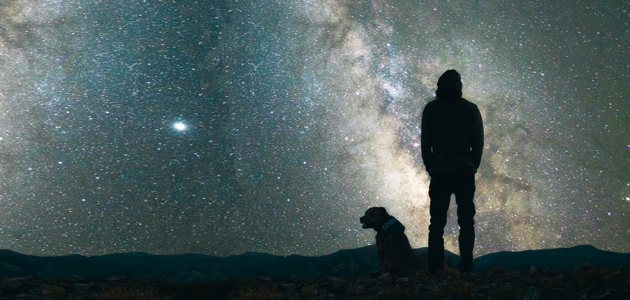 Visited in the night: Peter D Leeming considers valuable relationships following a chance encounter.