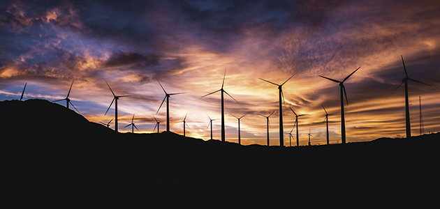 ‘The ZCB model is one of the most detailed studies to date.’