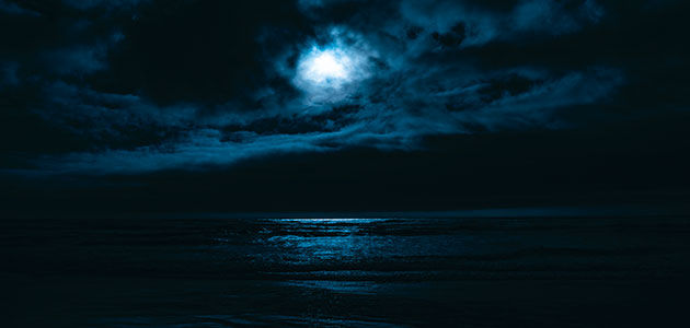 Leap in the dark: Alastair McIntosh looks for inner life