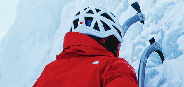 Social climbing: Abigail Maxwell considers kinship