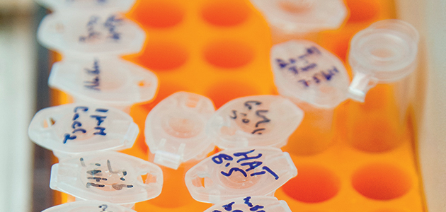 Quaker Concern for Animals campaigns with the Animal Interfaith Alliance, sign open letter