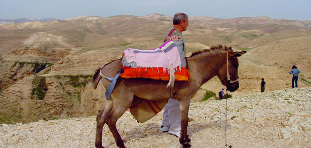 Biblical origins of Israel