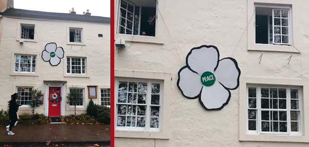 White poppies at Oxford Meeting