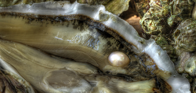 ‘It doesn’t form when all is running smoothly.’