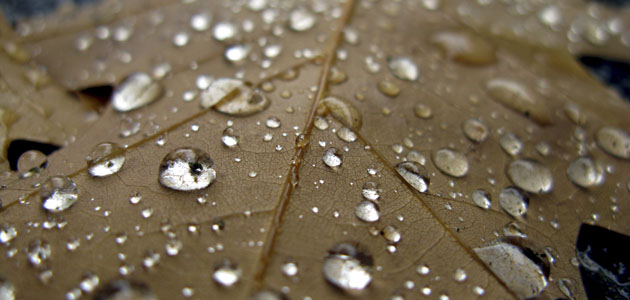 Quakerism: sharing your religion