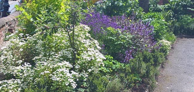 Coventry Friends reap rewards