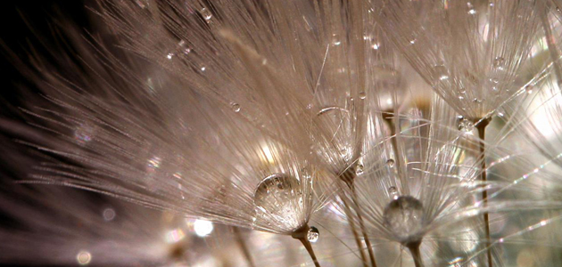 Retreat at Swarthmoor