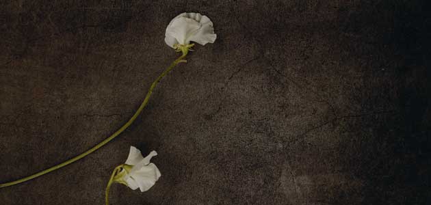 I shall betray tomorrow