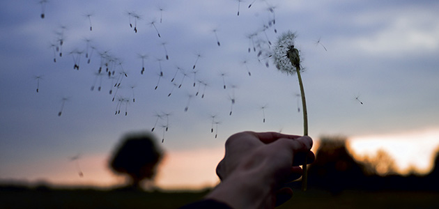 Three bereavement poems