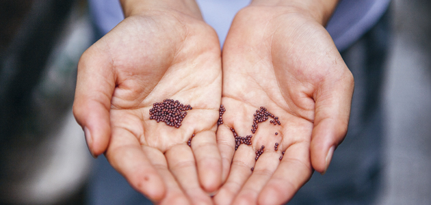 The day and the  seed of small things