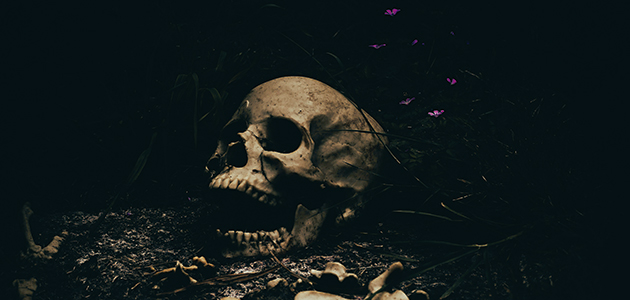 Watch this space: Jenny Webb takes a flyer