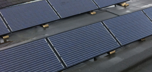 Greening of Jesus Lane Meeting House