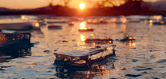 Identity crises: Paul Hodgkin rewrites more sacred texts