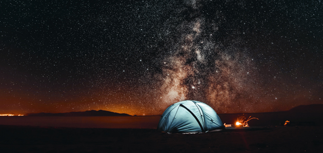 ‘The ability to generate distanced silliness is a key skill in lockdown Britain.’