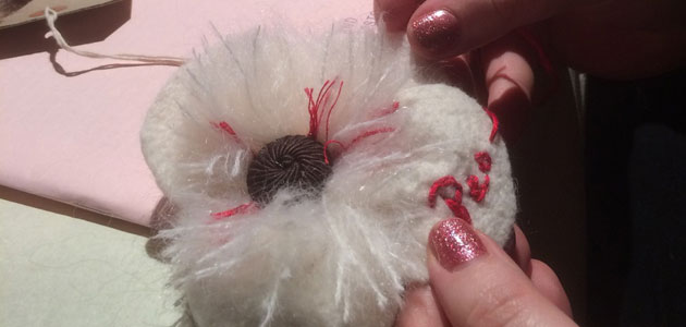 The Collateral  Damage project