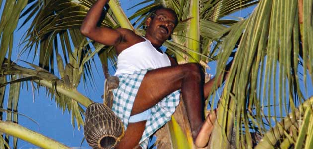 Meet and drink: Tony D’Souza and the toddy tapper