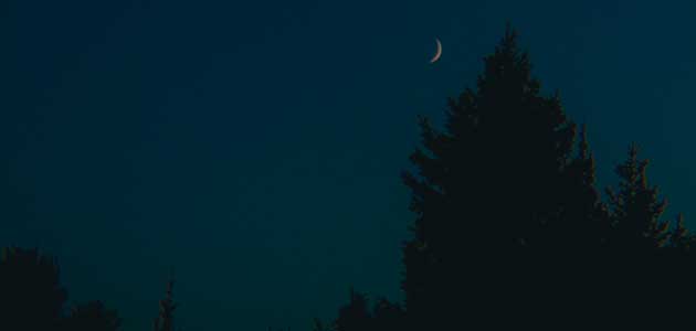 What the  animals said