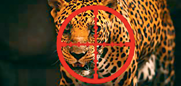 Undercover Trophy Hunter: Britain’s top 20 hunters revealed, by Eduardo Goncalves